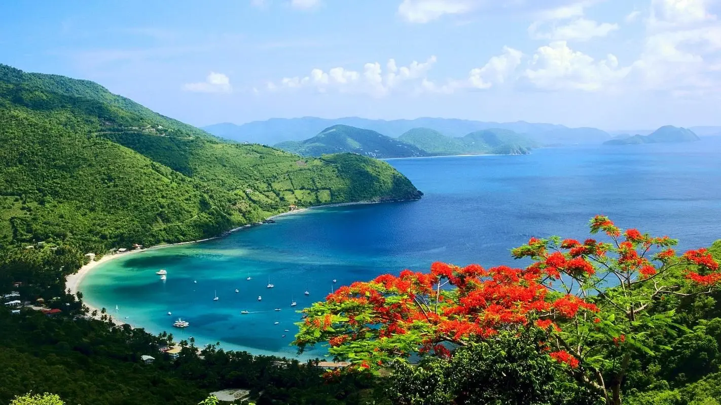 可靠性高端高标准